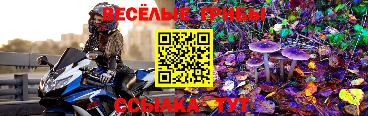 Галлюциногенные грибы Psilocybine cubensis  Вход с VPN  купить  сайты  Городец 
