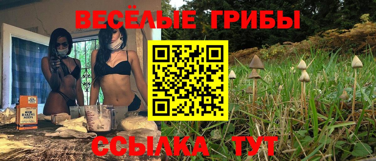 Псилоцибиновые грибы мицелий Городец